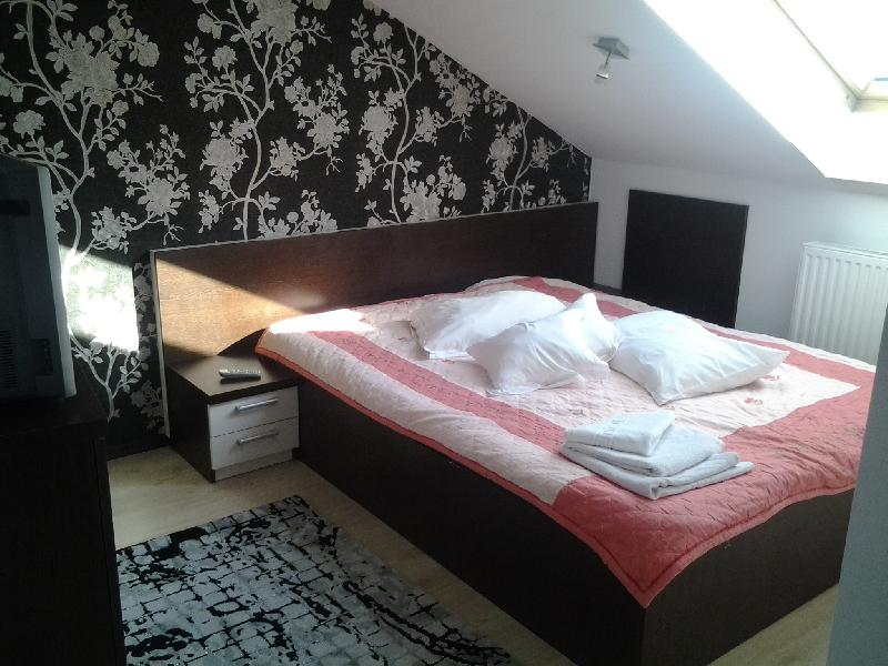 Cazare in oradea - PENSIUNEA ROZECLAS - Sinmartin