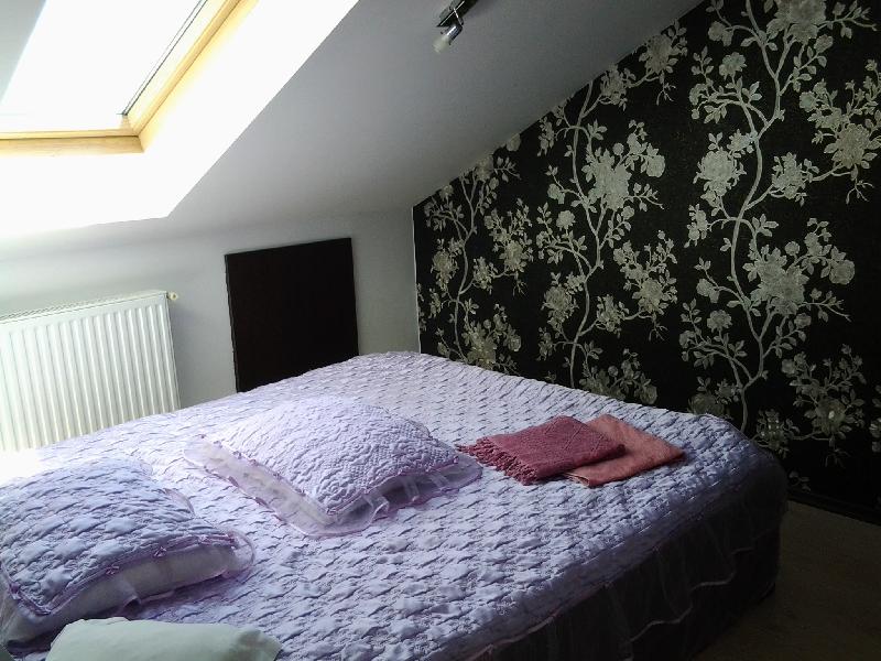 Cazare in oradea - PENSIUNEA ROZECLAS - Sinmartin