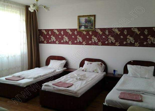 Cazare in oradea - PENSIUNEA ROZECLAS - Sinmartin