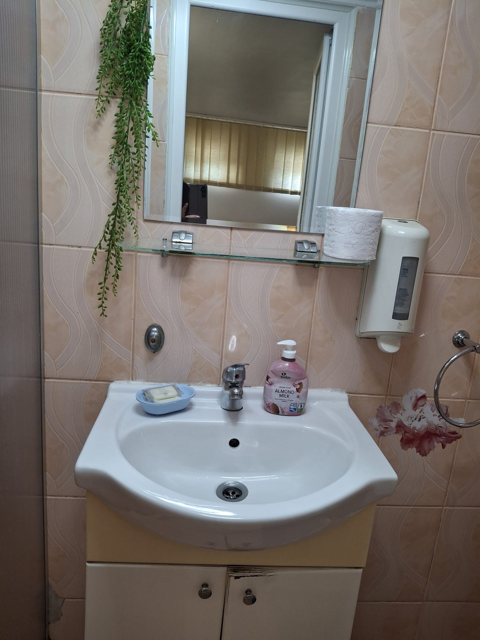 Cazare in oradea - PESIUNEA CASA MOV - Oradea Cazare in oradea - PESIUNEA CASA MOV - Oradea