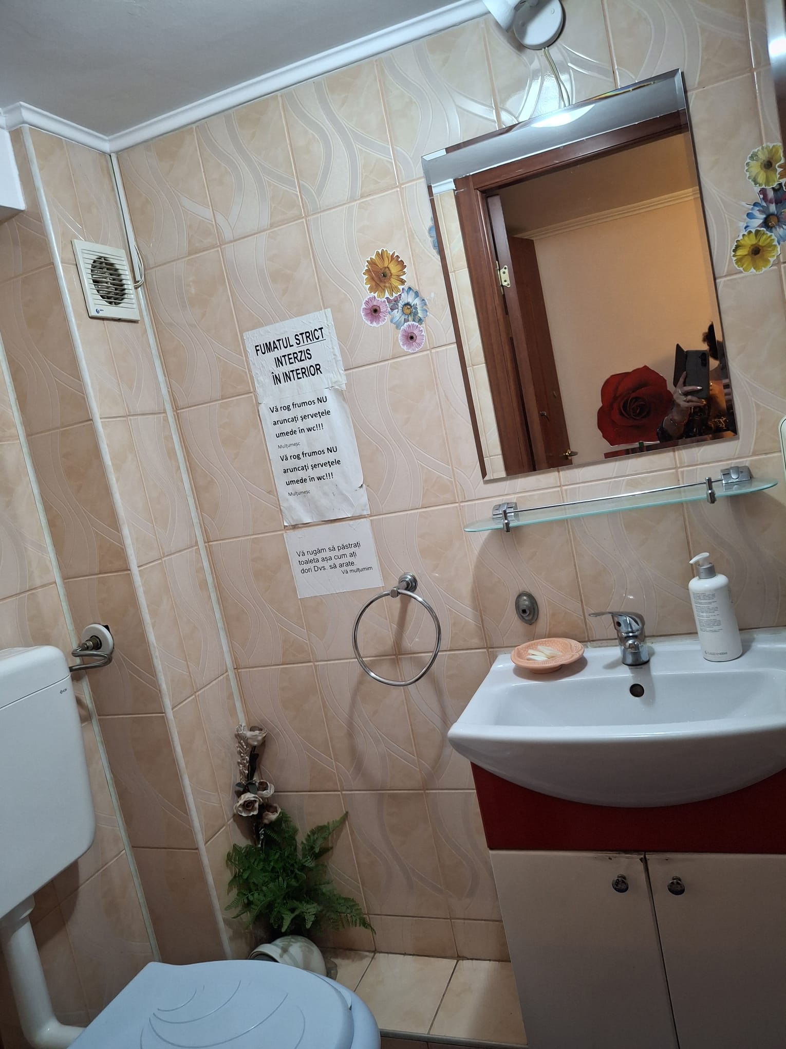 Cazare in oradea - PESIUNEA CASA MOV - Oradea Cazare in oradea - PESIUNEA CASA MOV - Oradea